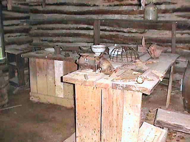 Inside View